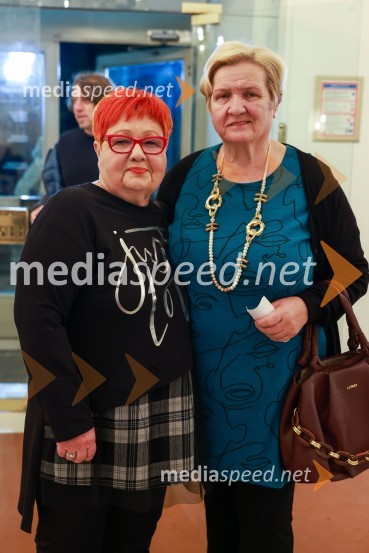  Zdenka Križanič, nekdanja mestna svetnicaPotujoče gledališče Šopalović, drama beograjskega JDP