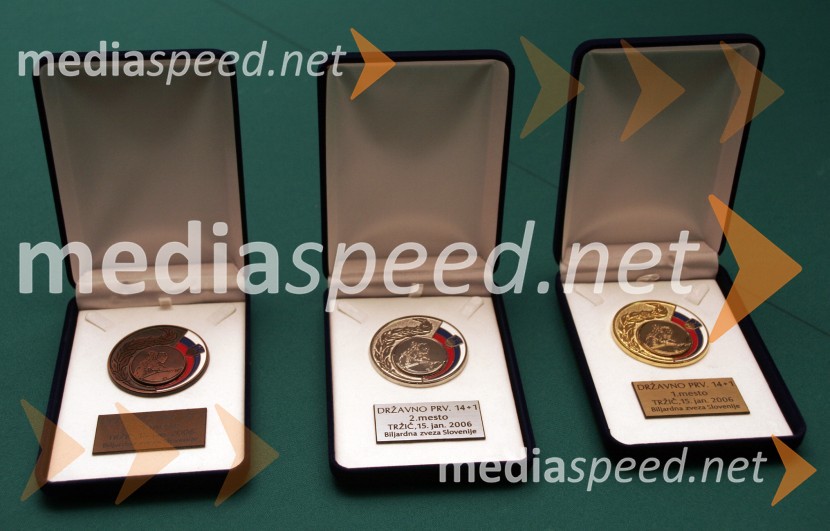 Priznanja za najboljšeBiljard, Državno prvenstvo Straight pool (14+1)