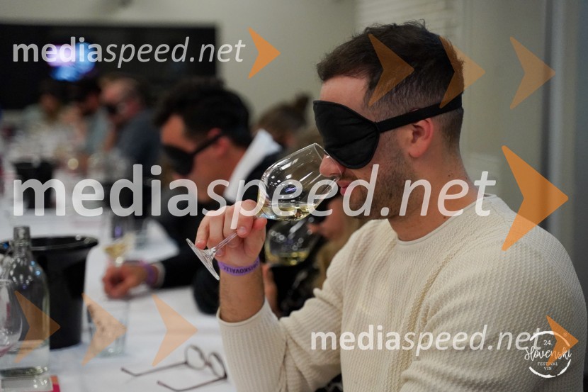 Prihaja 25. Slovenski festival vin!