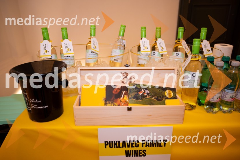 8. salon štajerskih mladih vin Pubec 2023 v Mariboru