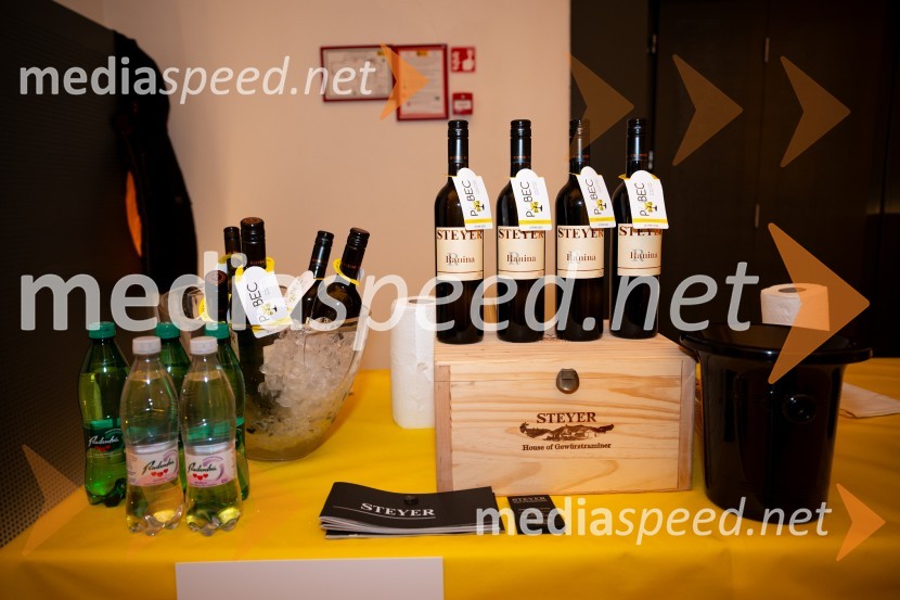 8. salon štajerskih mladih vin Pubec 2023 v Mariboru