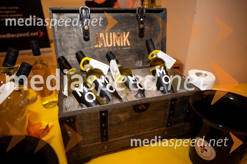 8. salon štajerskih mladih vin Pubec 2023 v Mariboru