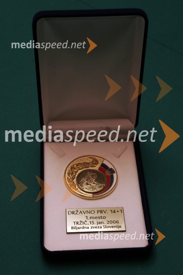 Priznanje za državnega prvakaBiljard, Državno prvenstvo Straight pool (14+1)