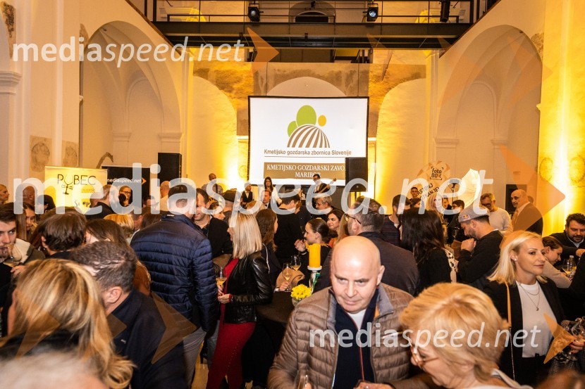 8. salon štajerskih mladih vin Pubec 2023 v Mariboru