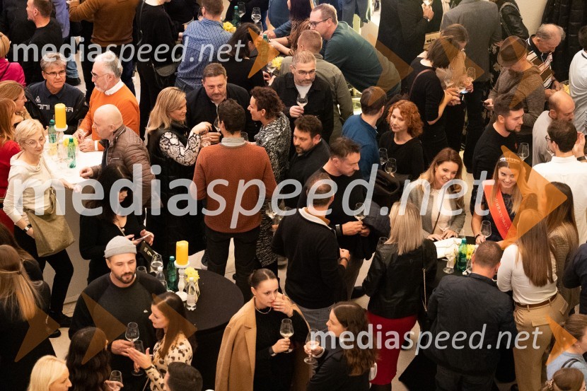 8. salon štajerskih mladih vin Pubec 2023 v Mariboru