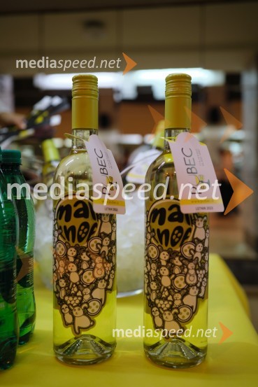 5. salon štajerskih mladih vin Pubec 2023 v Ljubljani