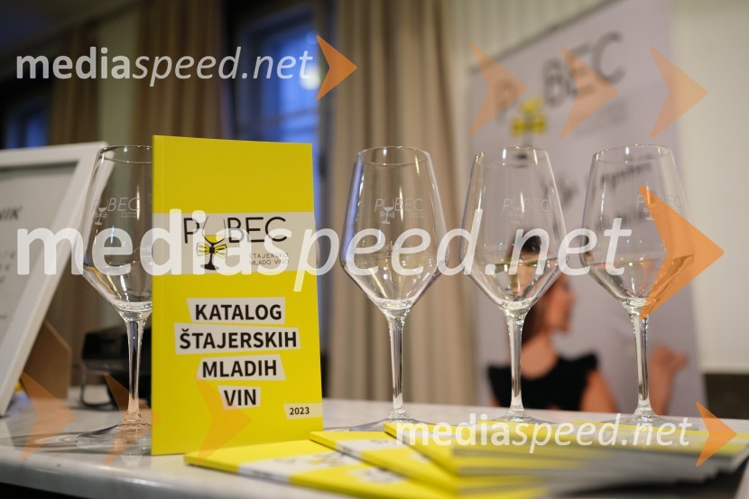 5. salon štajerskih mladih vin Pubec 2023 v Ljubljani