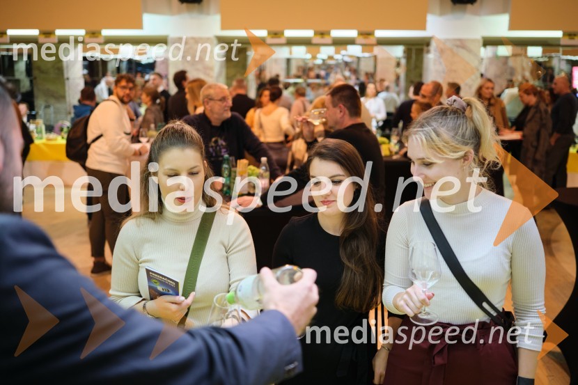  Tina Berk, sodelavka za odnose z javnostmi, Festival Ljubljana;  Evelin Frčec, Festival Ljubljana;  Saša Strmšnik, Festival Ljubljana5. salon štajerskih mladih vin Pubec 2023 v Ljubljani