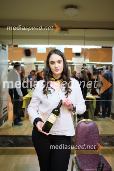 5. salon štajerskih mladih vin Pubec 2023 v Ljubljani