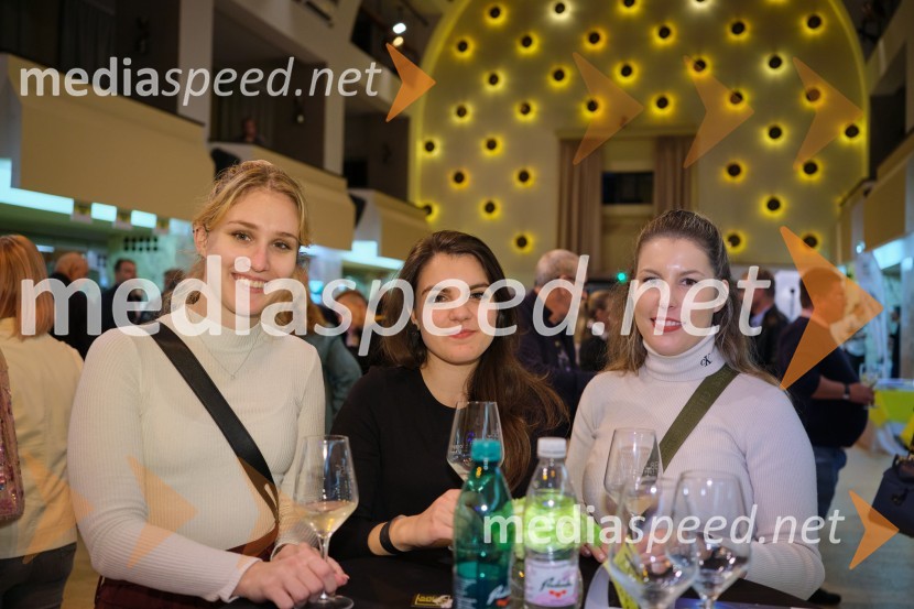  Saša Strmšnik, Festival Ljubljana;  Evelin Frčec, Festival Ljubljana;  Tina Berk, sodelavka za odnose z javnostmi, Festival Ljubljana5. salon štajerskih mladih vin Pubec 2023 v Ljubljani