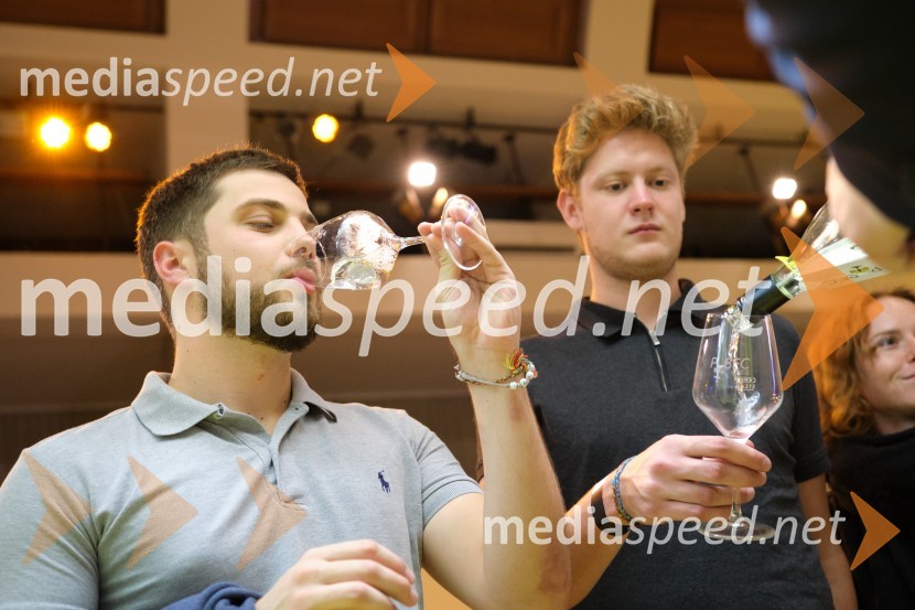 5. salon štajerskih mladih vin Pubec 2023 v Ljubljani