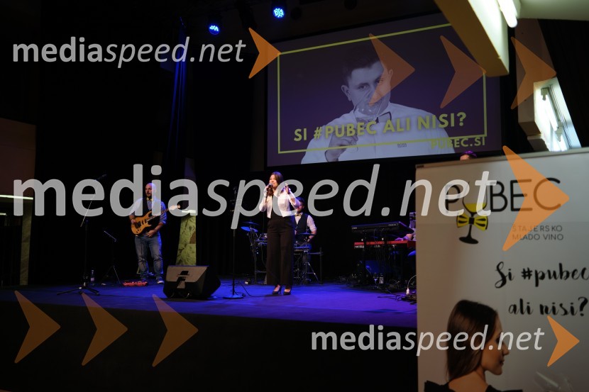 5. salon štajerskih mladih vin Pubec 2023 v Ljubljani