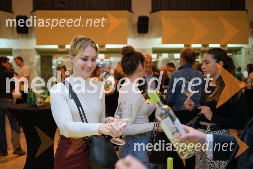 5. salon štajerskih mladih vin Pubec 2023 v Ljubljani