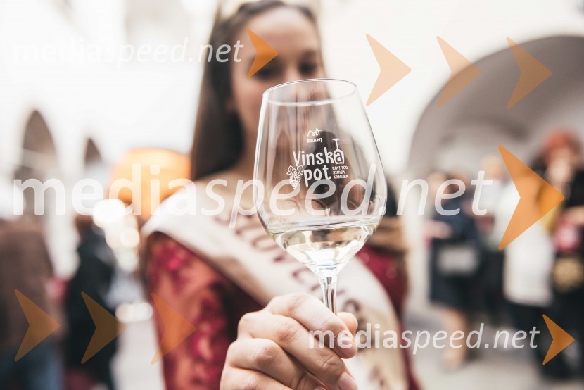 Prihajata Ljubljanska vinska pot in Slovenski festival vin!