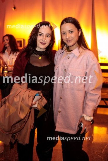  Urša Premik, fotografinja;  ... Kar želiš, to dobiš, premiera komedije