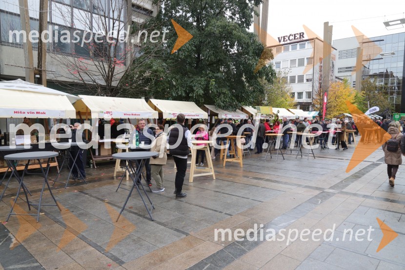 Martinovanje v Mariboru 2023