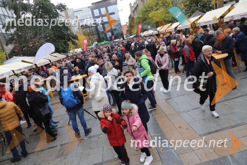 Martinovanje v Mariboru 2023