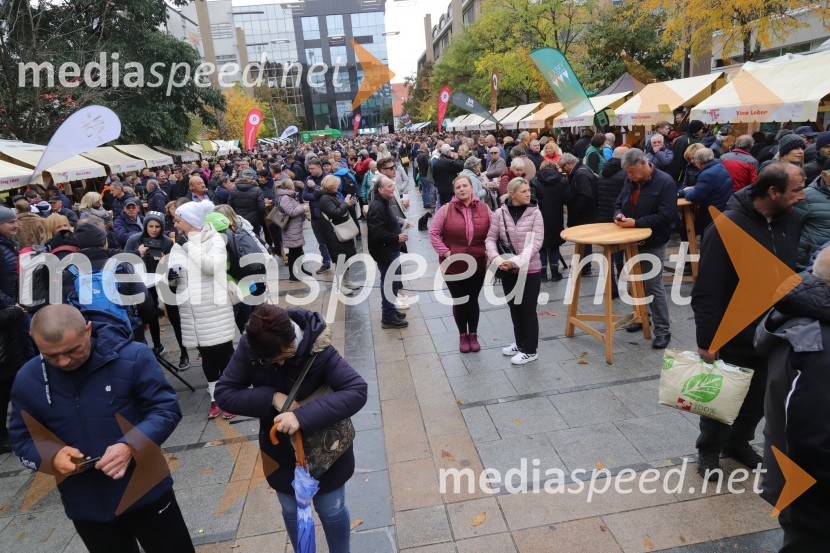 Martinovanje v Mariboru 2023