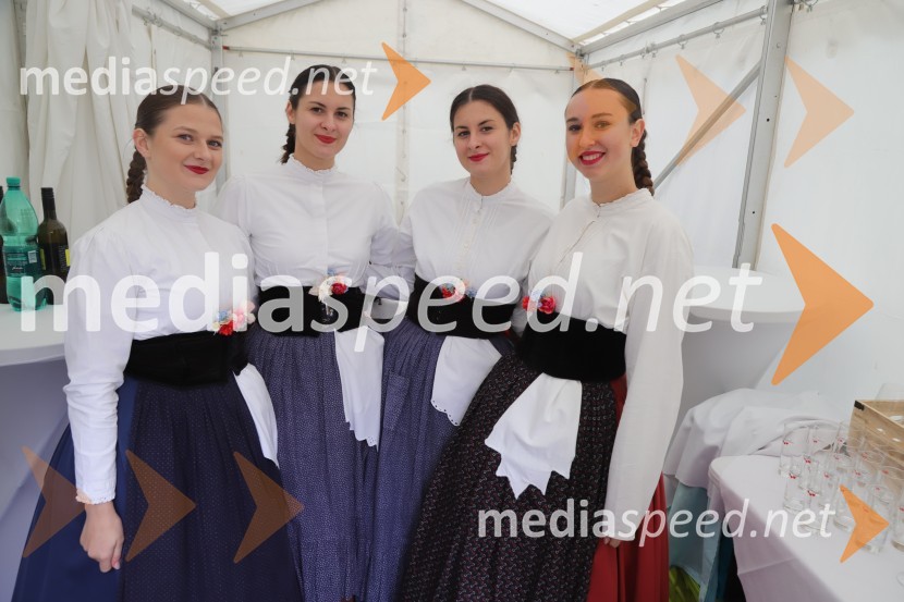 Martinovanje v Mariboru 2023