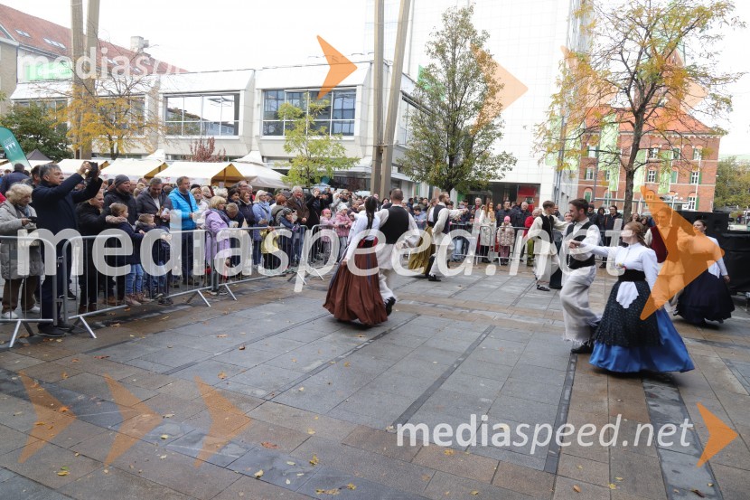 Martinovanje v Mariboru 2023