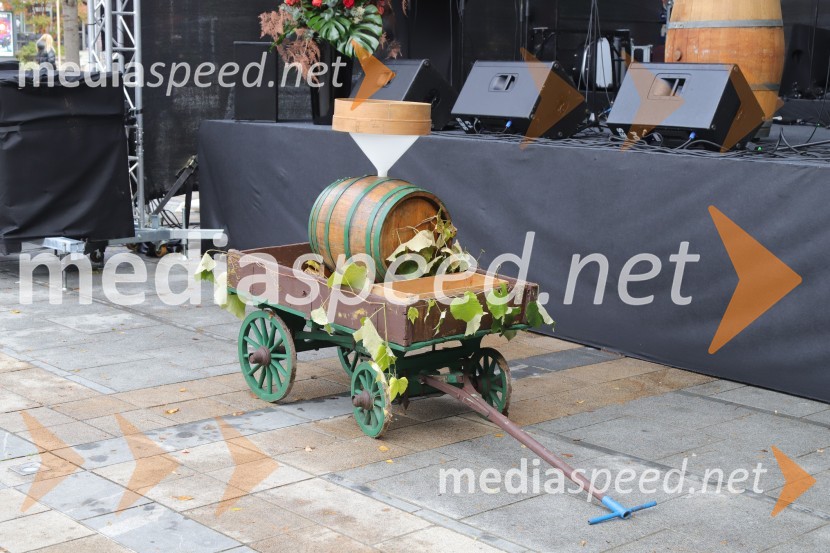 Martinovanje v Mariboru 2023