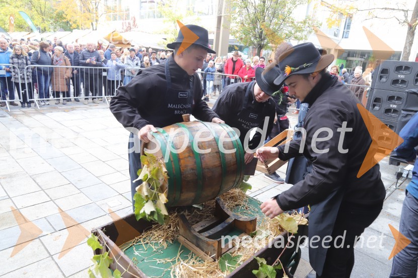 Martinovanje v Mariboru 2023