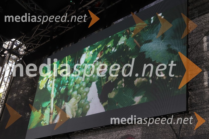 Martinovanje v Mariboru 2023