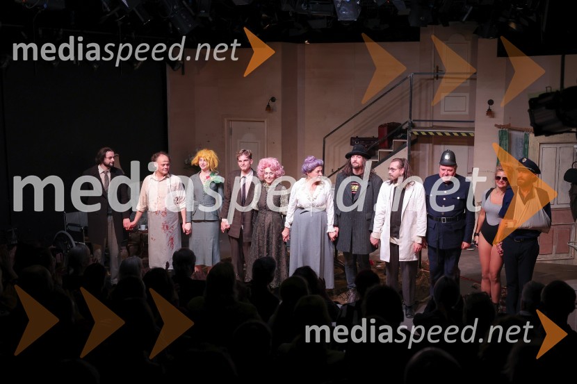  Jaka Lah, igralec;  Gašper Jarni, igralec;  Klara Kuk, igralka, manekenka;  Matevž Sluga, AGRFT;  Mirjam Korbar, igralka;  Judita Zidar, igralka;  Filip Samobor, igralec;  Matic Maco Lukšič, igralec;  Jožef Ropoša, igralec;  Tanja Dimitrievska, igralka;  Tomo Tomšič, igralecArzenik in stare čipke, premiera