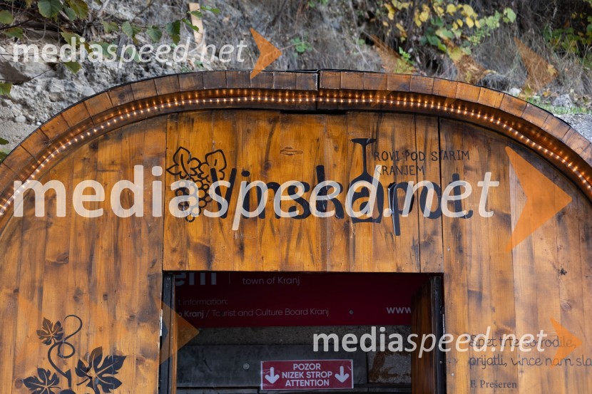 Vinska pot v rovih pod starim Kranjem 2023, petek