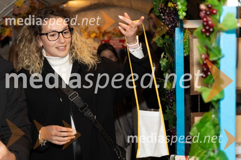 Vinska pot v rovih pod starim Kranjem 2023, petek