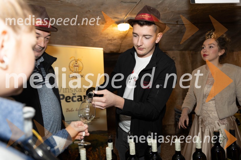  Janez Pečarič, Vinska klet PečaričVinska pot v rovih pod starim Kranjem 2023, petek