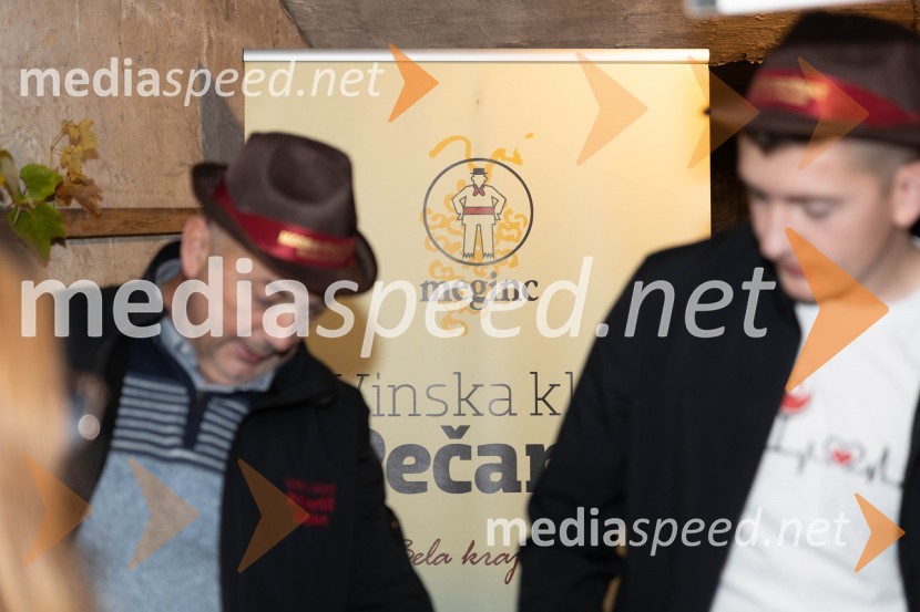 Vinska pot v rovih pod starim Kranjem 2023, petek