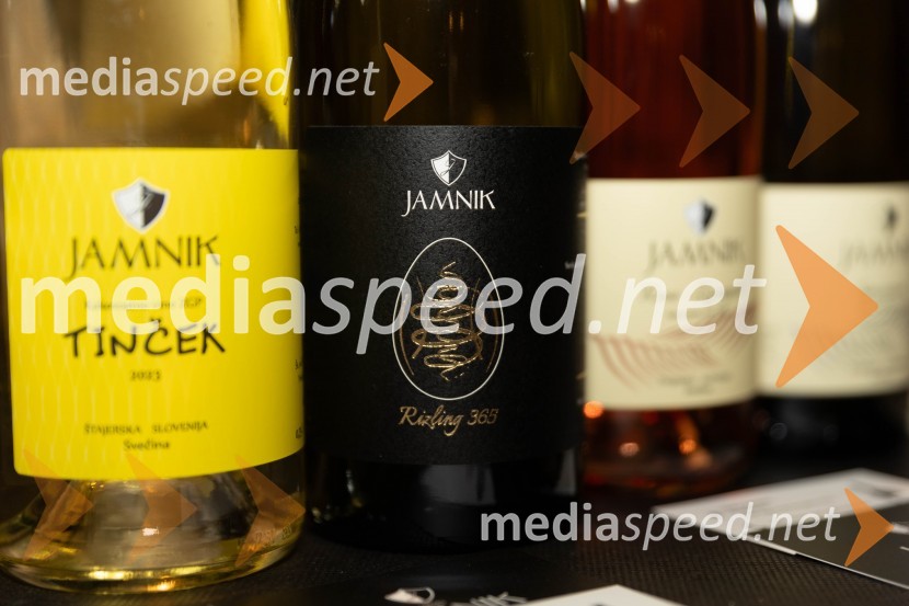 Vinska pot v rovih pod starim Kranjem 2023, petek