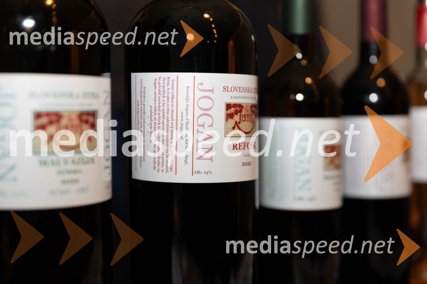 Vinska pot v rovih pod starim Kranjem 2023, petek