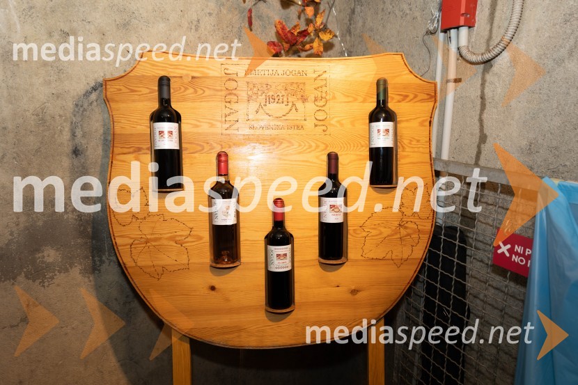 Vinska pot v rovih pod starim Kranjem 2023, petek