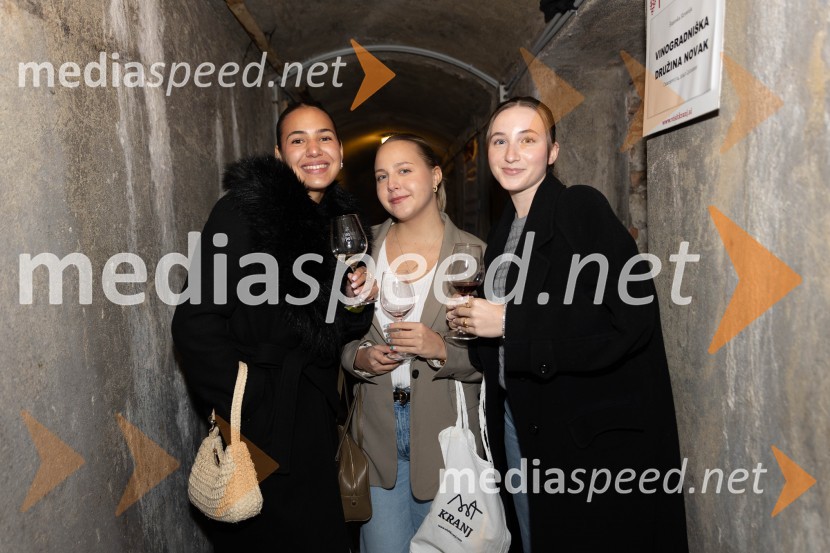 Vinska pot v rovih pod starim Kranjem 2023, petek