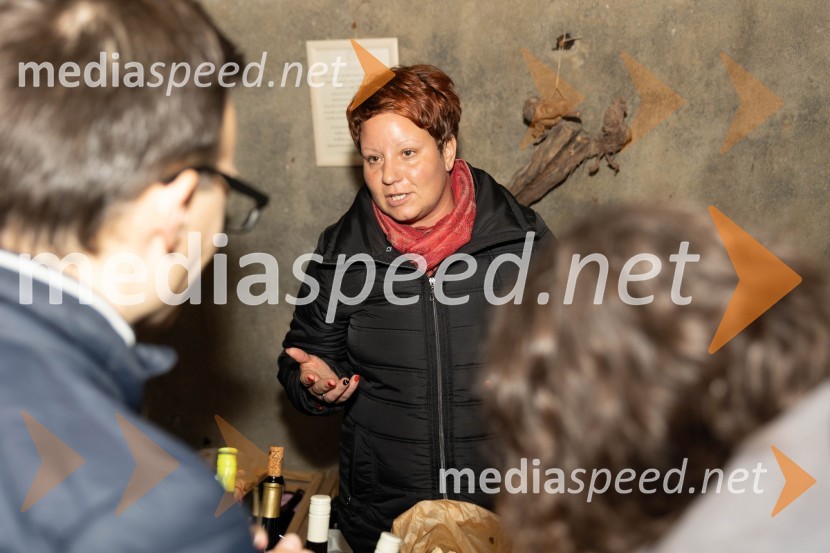 Vinska pot v rovih pod starim Kranjem 2023, petek