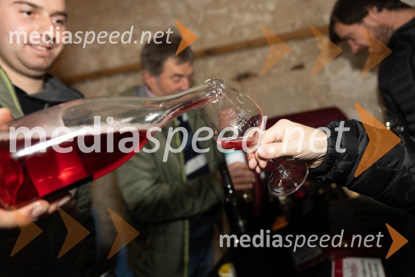 Vinska pot v rovih pod starim Kranjem 2023, petek