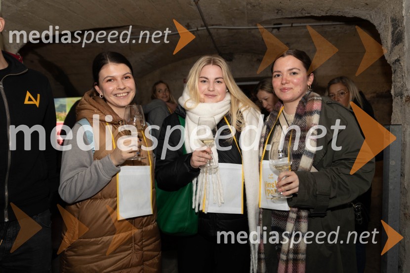 Vinska pot v rovih pod starim Kranjem 2023, petek