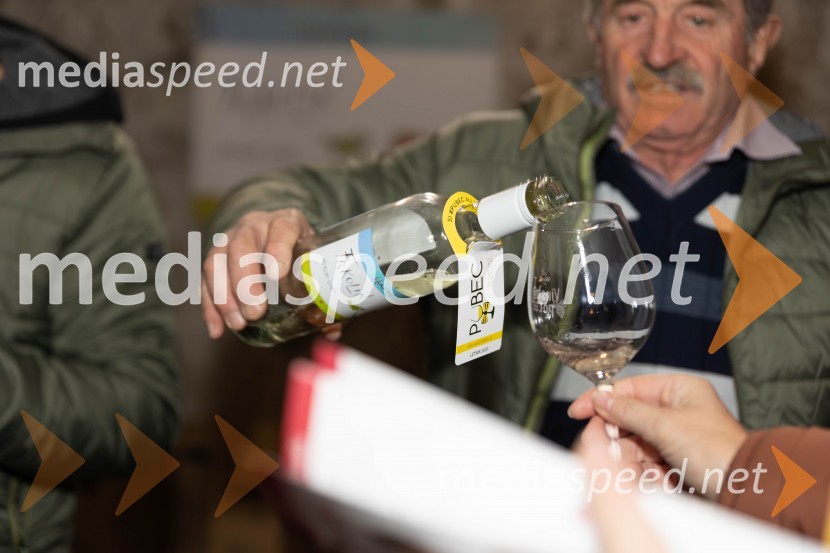 Vinska pot v rovih pod starim Kranjem 2023, petek