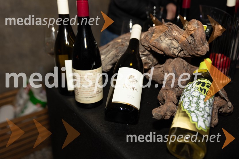 Vinska pot v rovih pod starim Kranjem 2023, petek