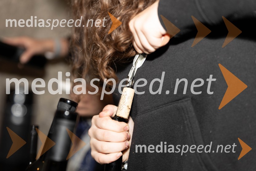 Vinska pot v rovih pod starim Kranjem 2023, petek