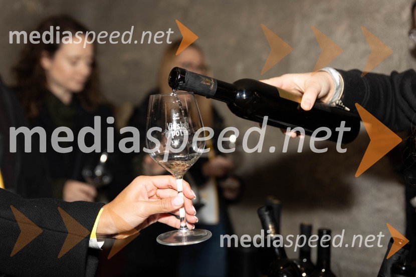 Vinska pot v rovih pod starim Kranjem 2023, petek