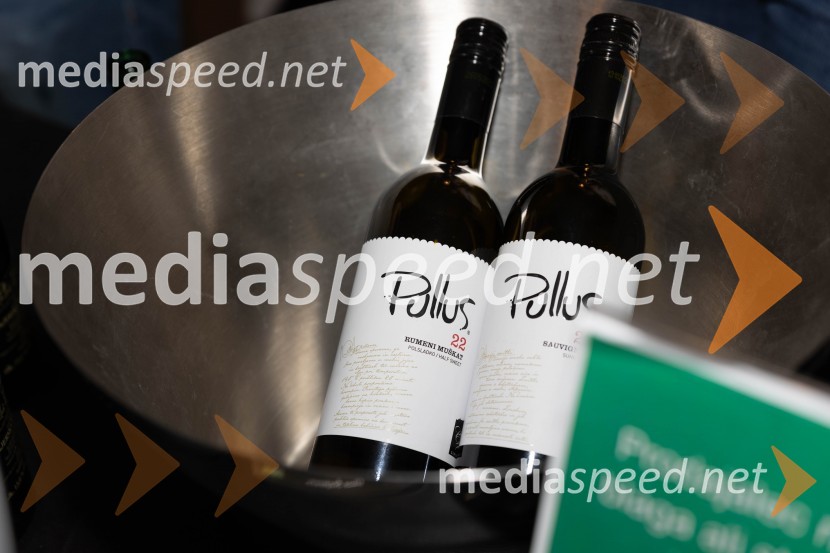 Vinska pot v rovih pod starim Kranjem 2023, petek