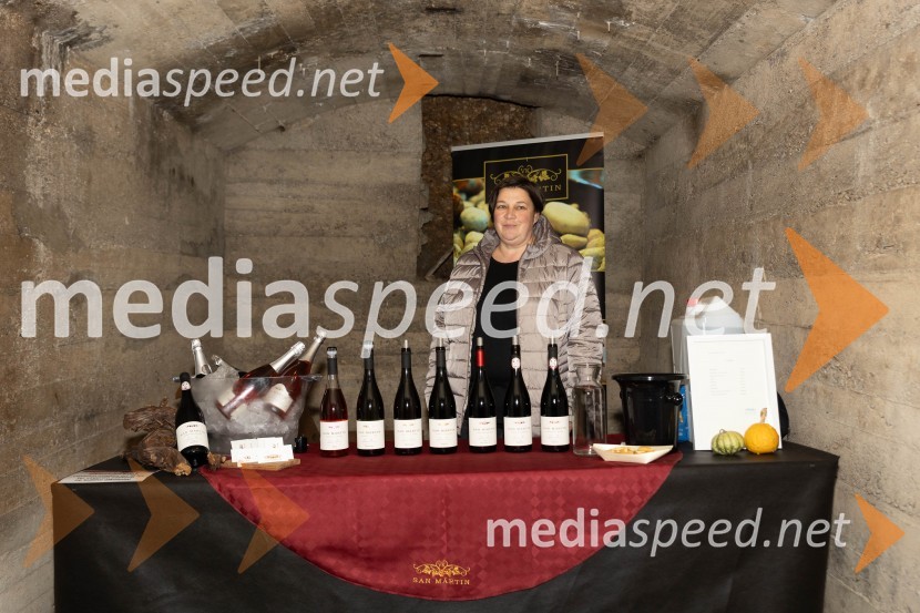 Vinska pot v rovih pod starim Kranjem 2023, petek