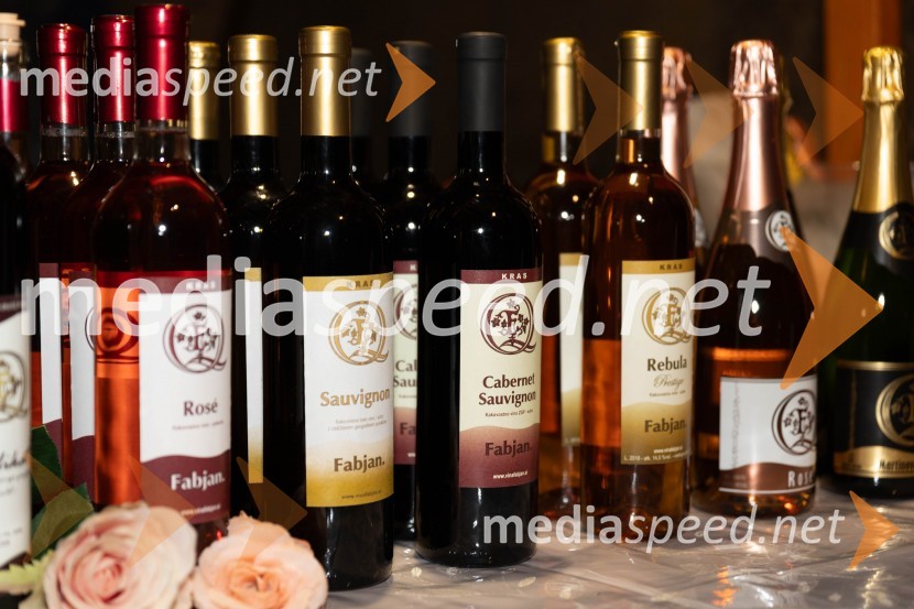 Vinska pot v rovih pod starim Kranjem 2023, petek