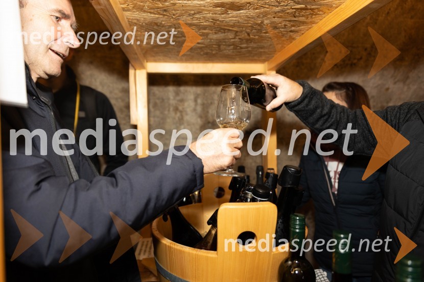 Vinska pot v rovih pod starim Kranjem 2023, petek