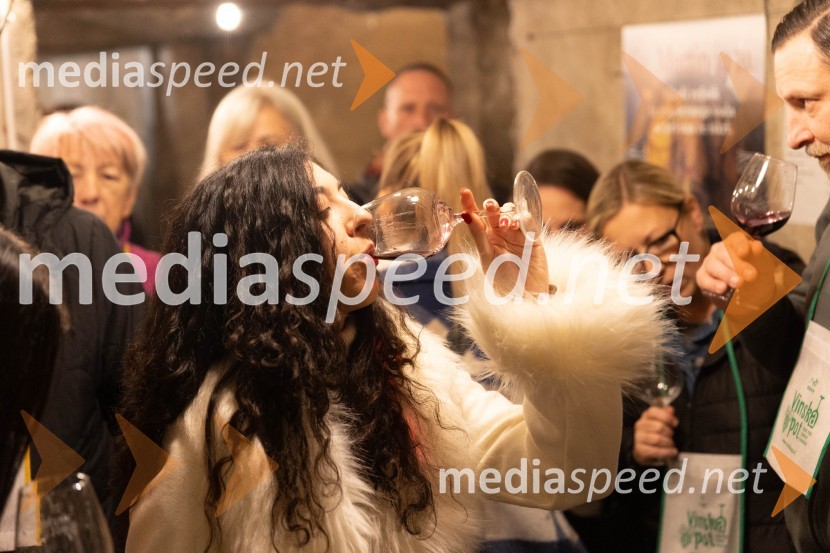 Vinska pot v rovih pod starim Kranjem 2023, petek