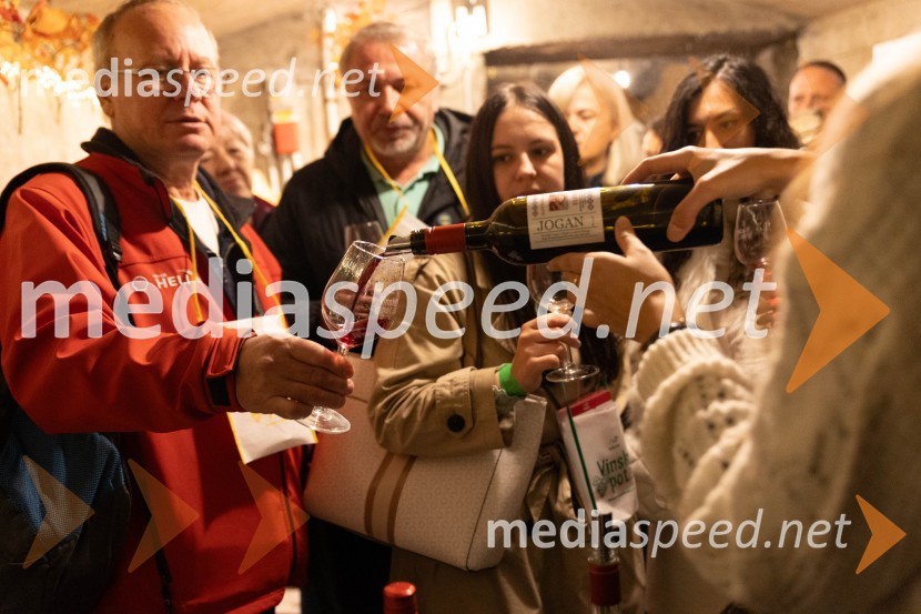 Vinska pot v rovih pod starim Kranjem 2023, petek