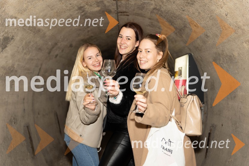 Vinska pot v rovih pod starim Kranjem 2023, petek